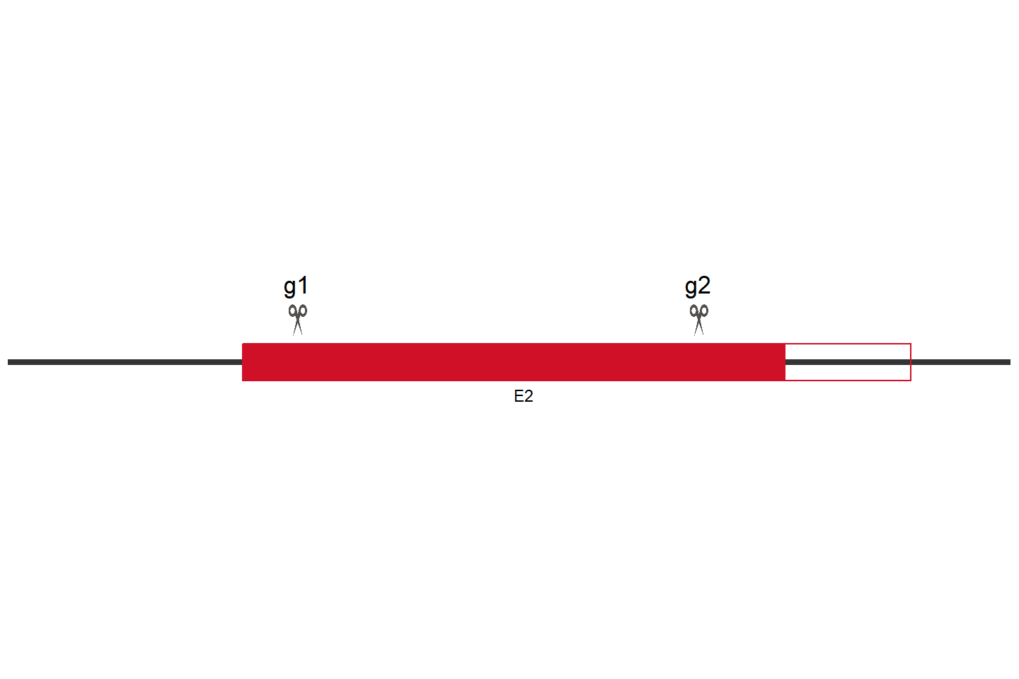 BCL2L1 Knockout cell line (HEL) Target region