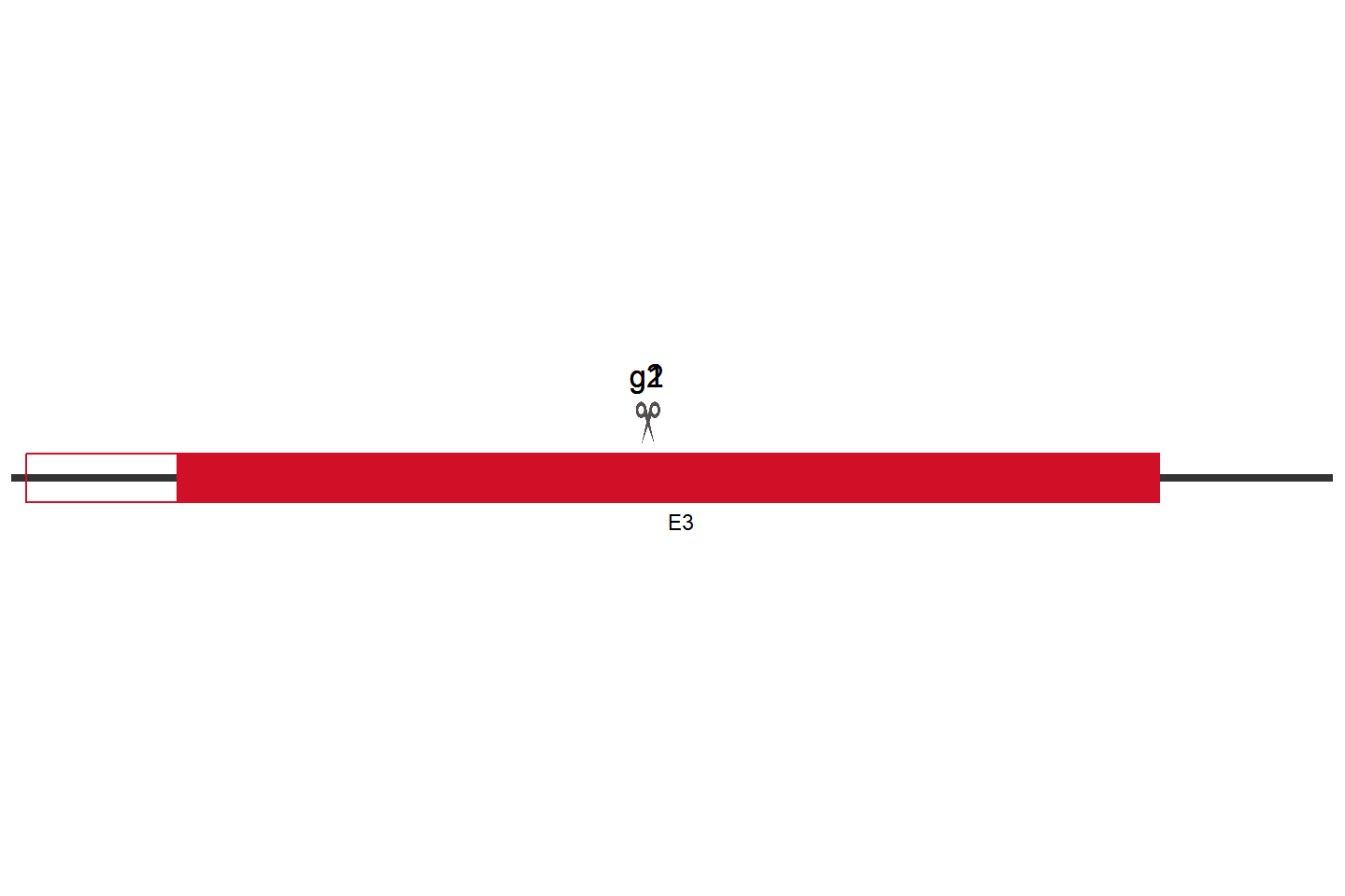 Esr1 Knockout cell line (NIT-1) Target region