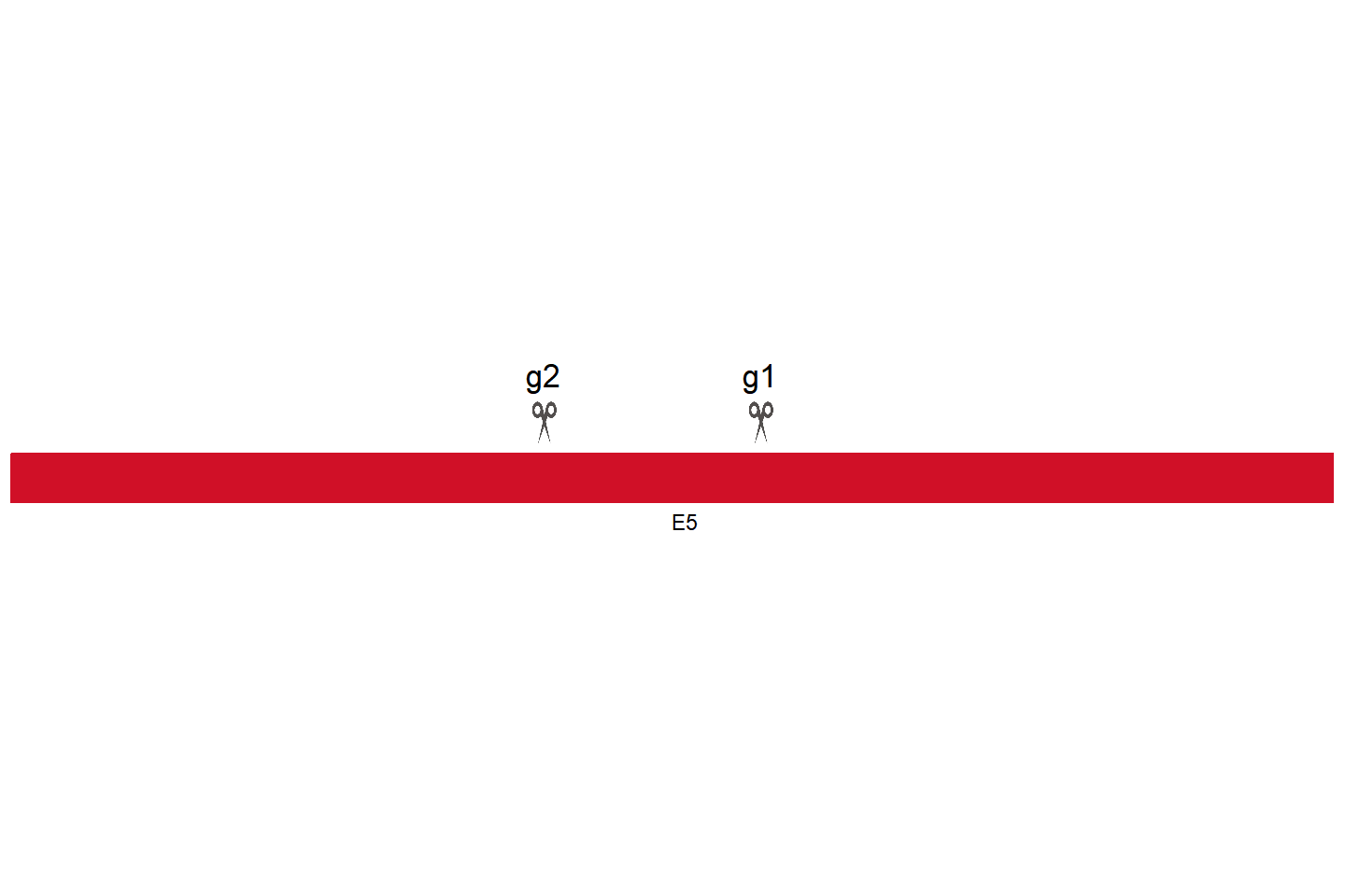 Nlgn4l Knockout cell line (4T1) Target region