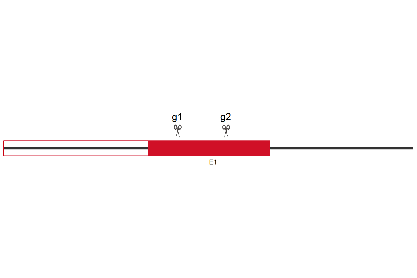 Msh2 Knockout cell line (B16-F10) Target region