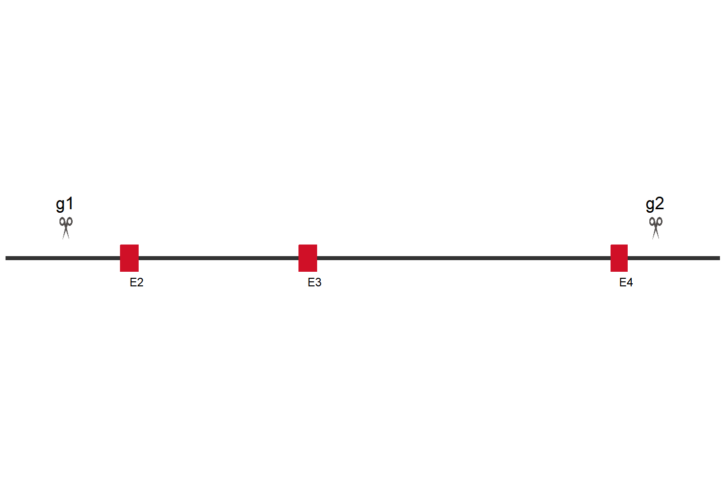 Nadk2 Knockout cell line (LLC) Target region