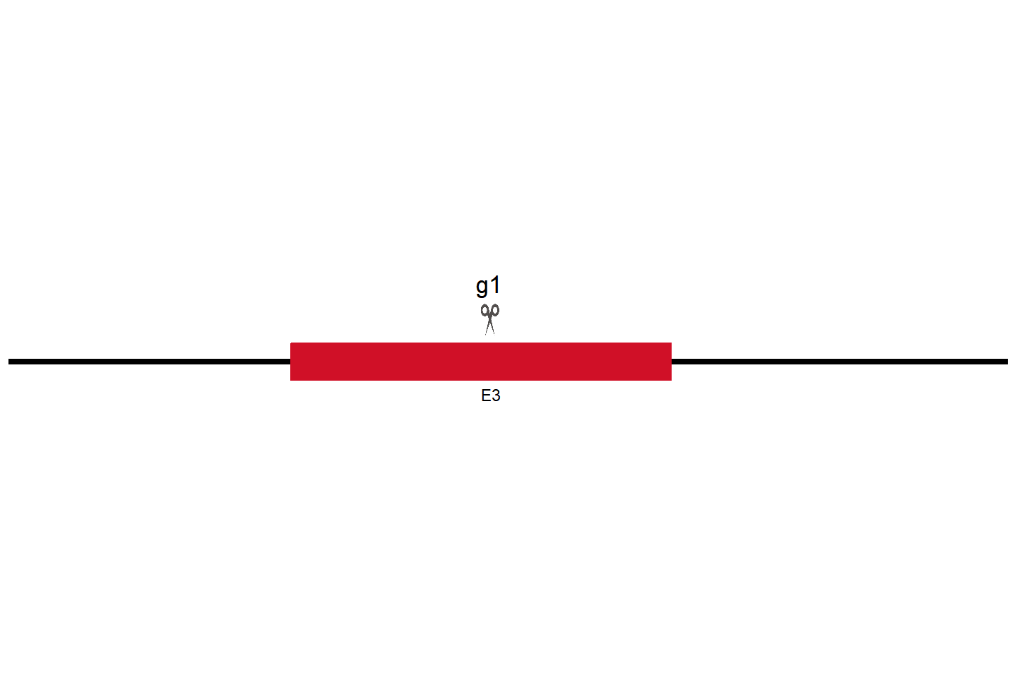 Il1r1 Knockout cell line (MC38) Target region