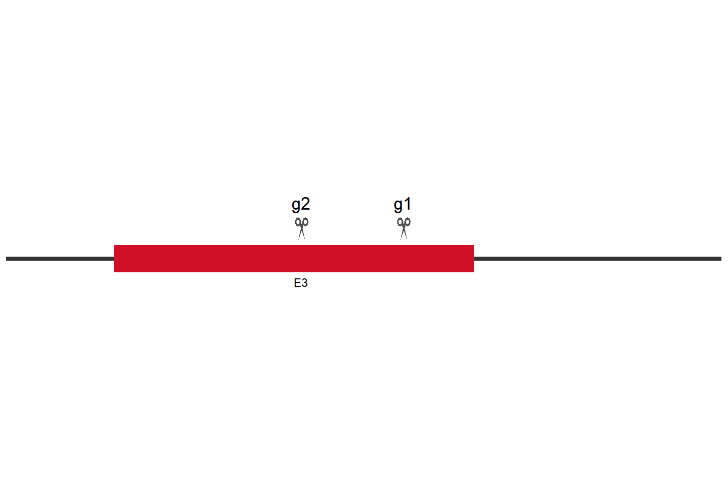 Lgals3 Knockout cell line (Raw 264.7) Target region