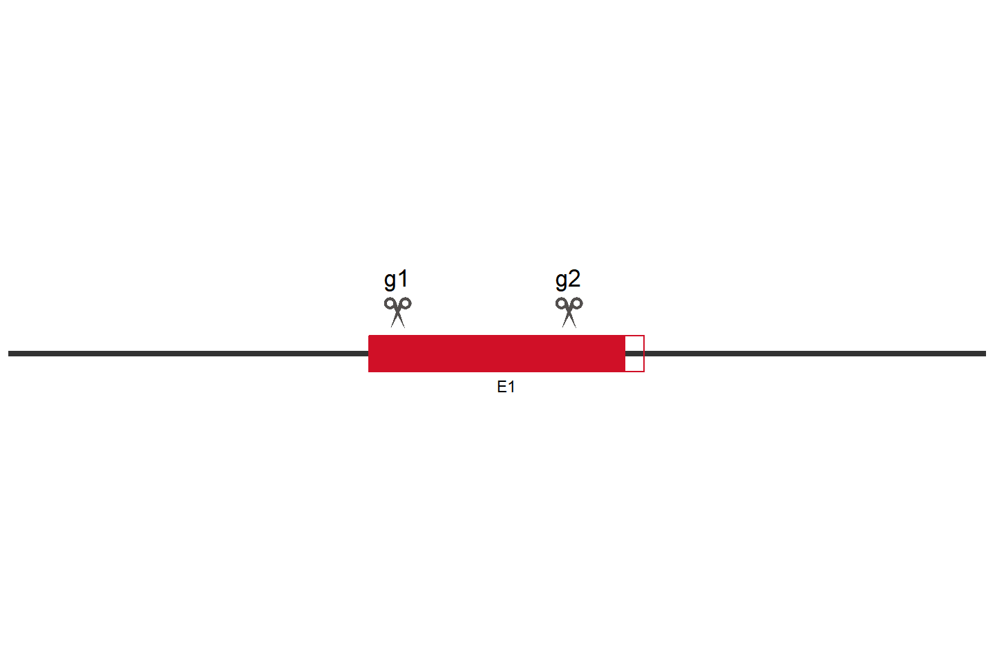 TAPT1 Knockout cell line (HCT 116) Target region