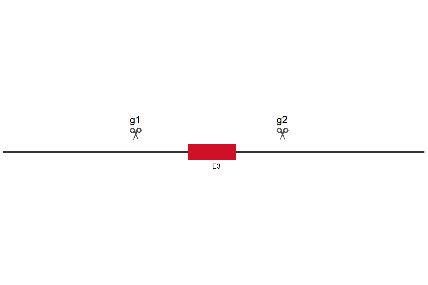 TMEM268 Knockout cell line (A549) Target region