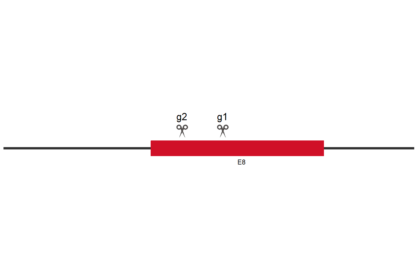 POT1 Knockout cell line (HCT 116) Target region