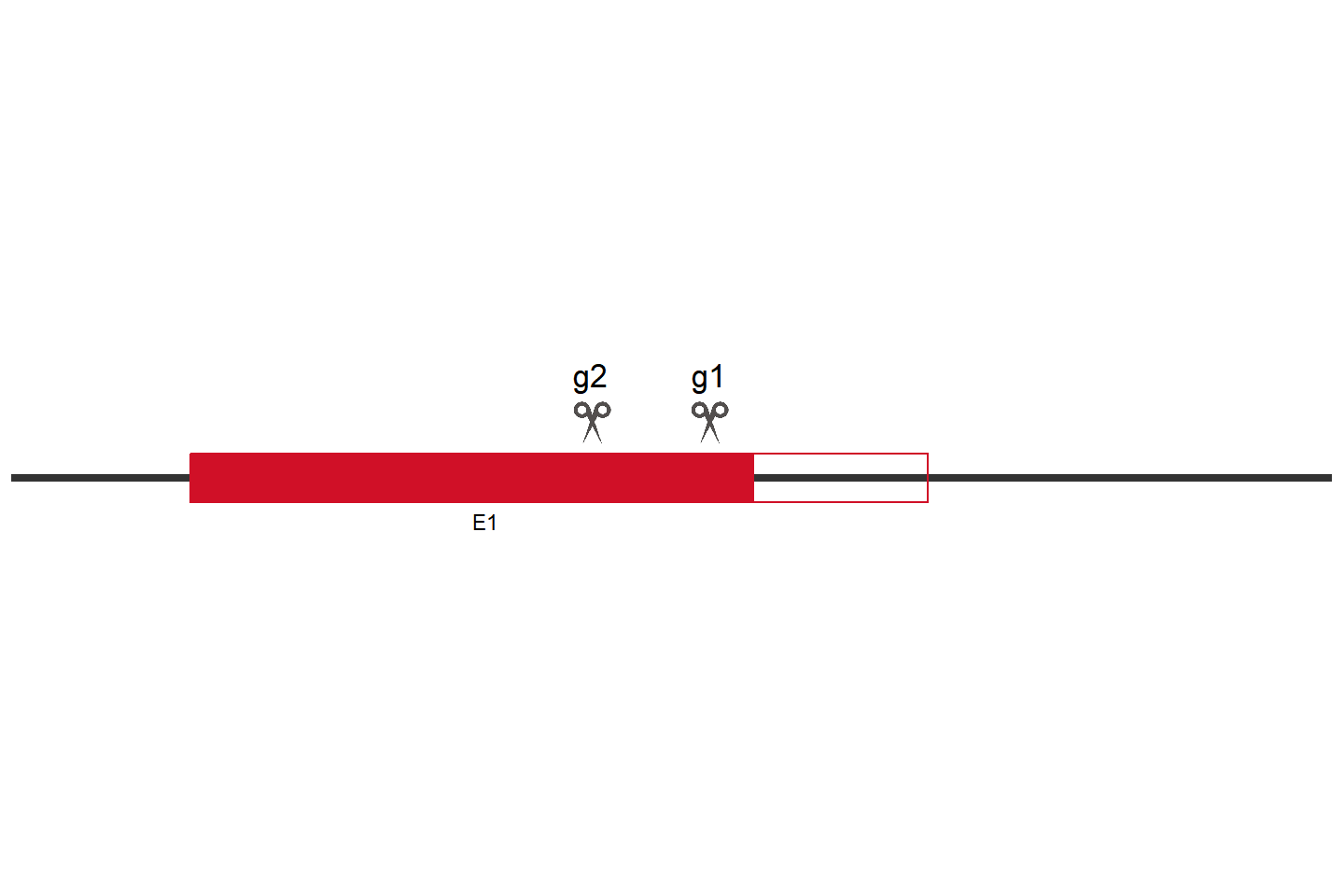 LIX1L Knockout cell line (HEK293) Target region