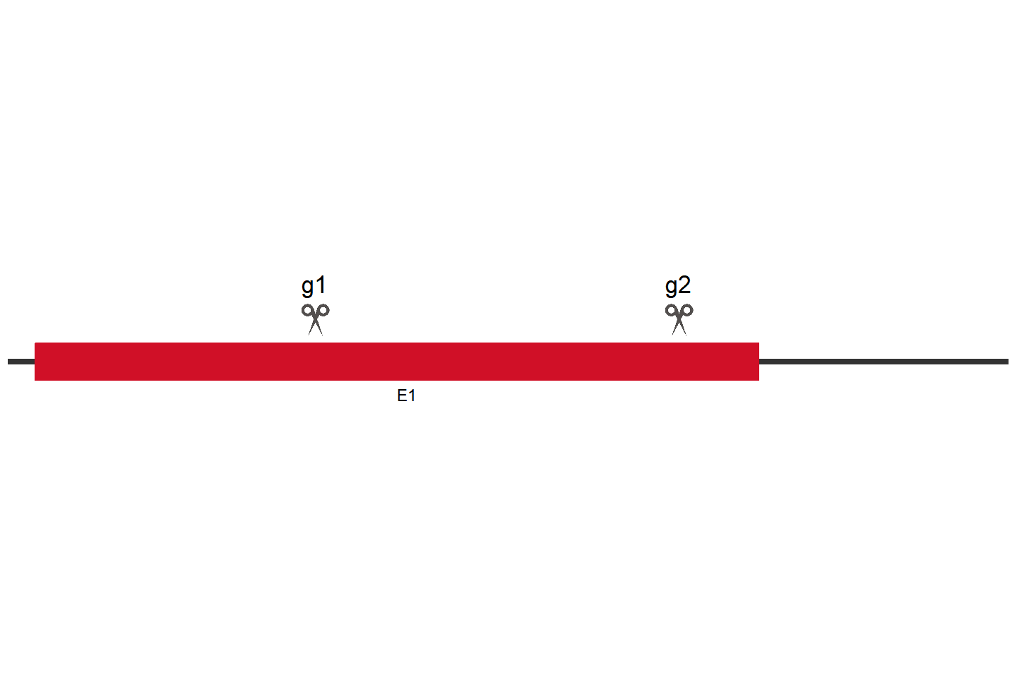 KRTAP4-16 Knockout cell line (A549) Target region