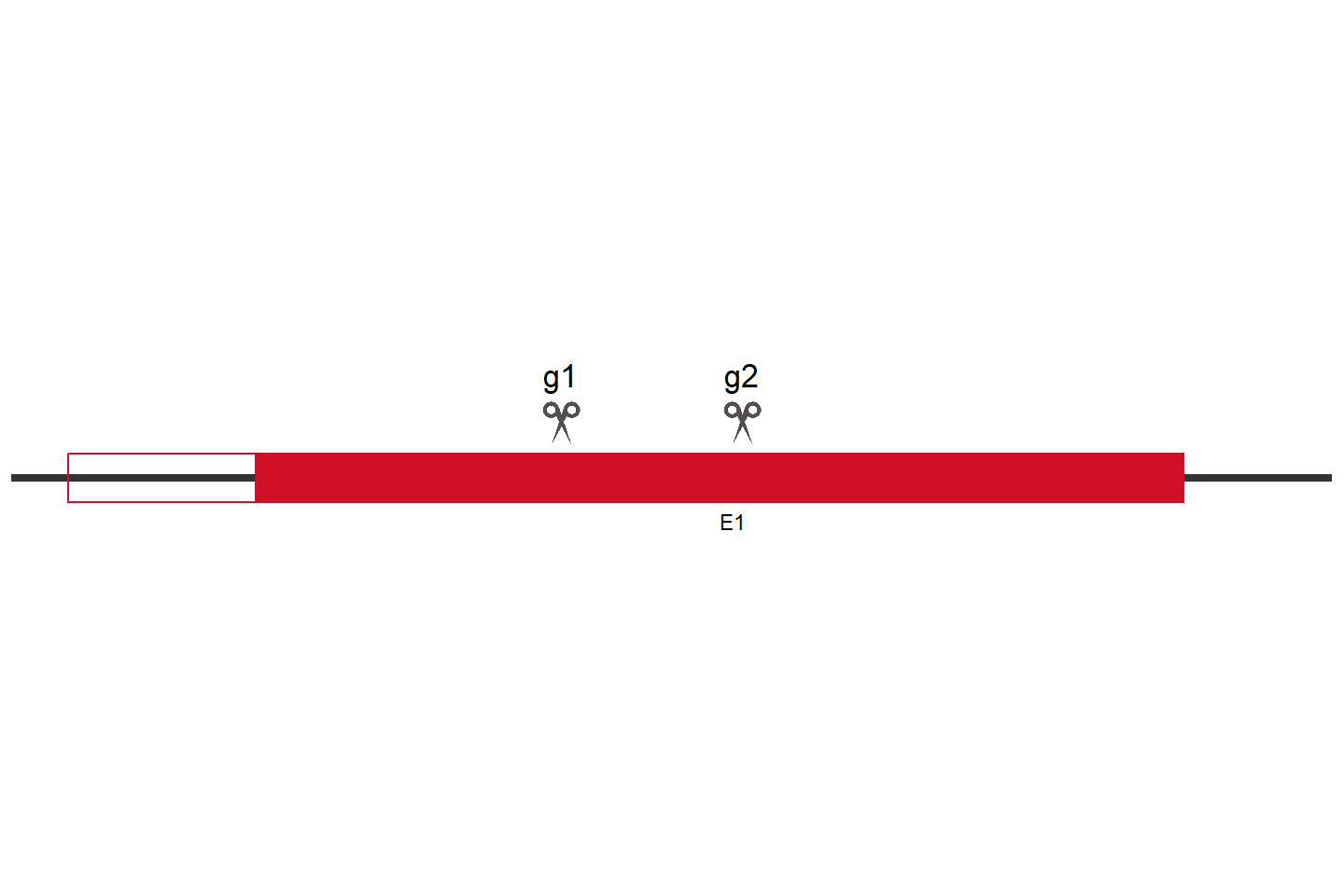 FANCM Knockout cell line (A549) Target region