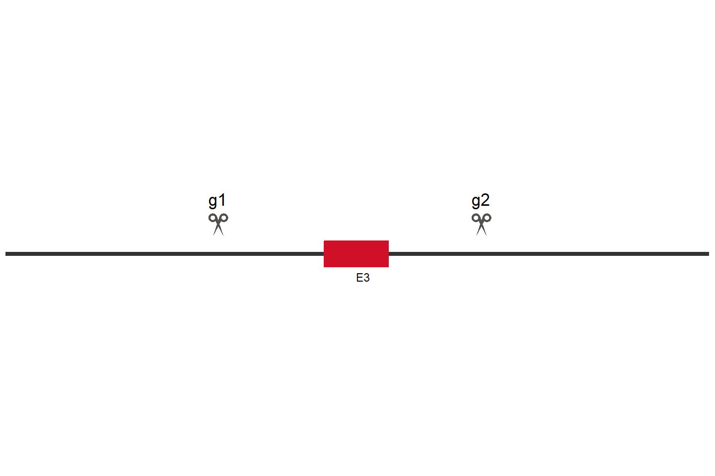 KREMEN1 Knockout cell line (A549) Target region