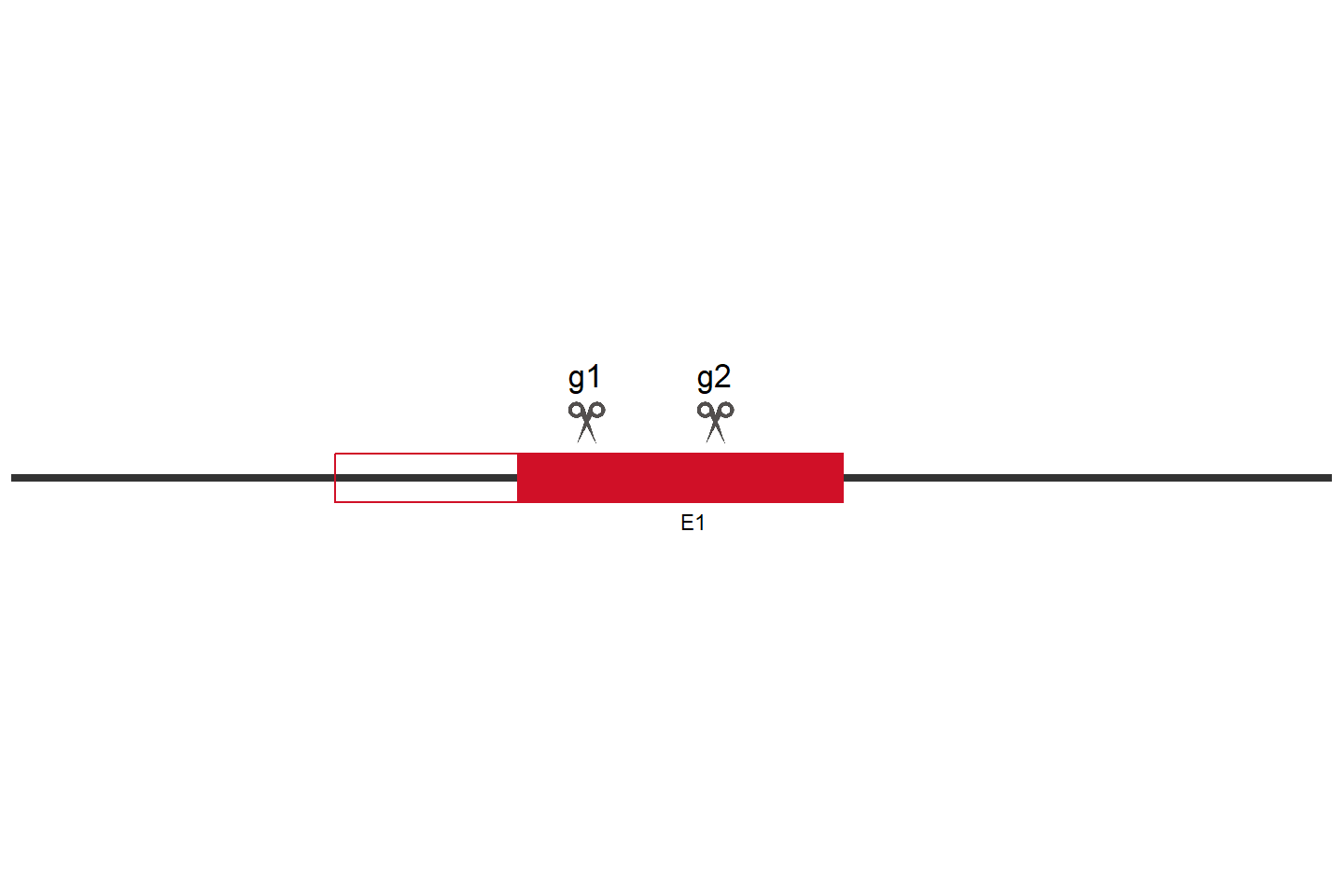 PRDX5 Knockout cell line (A549) Target region