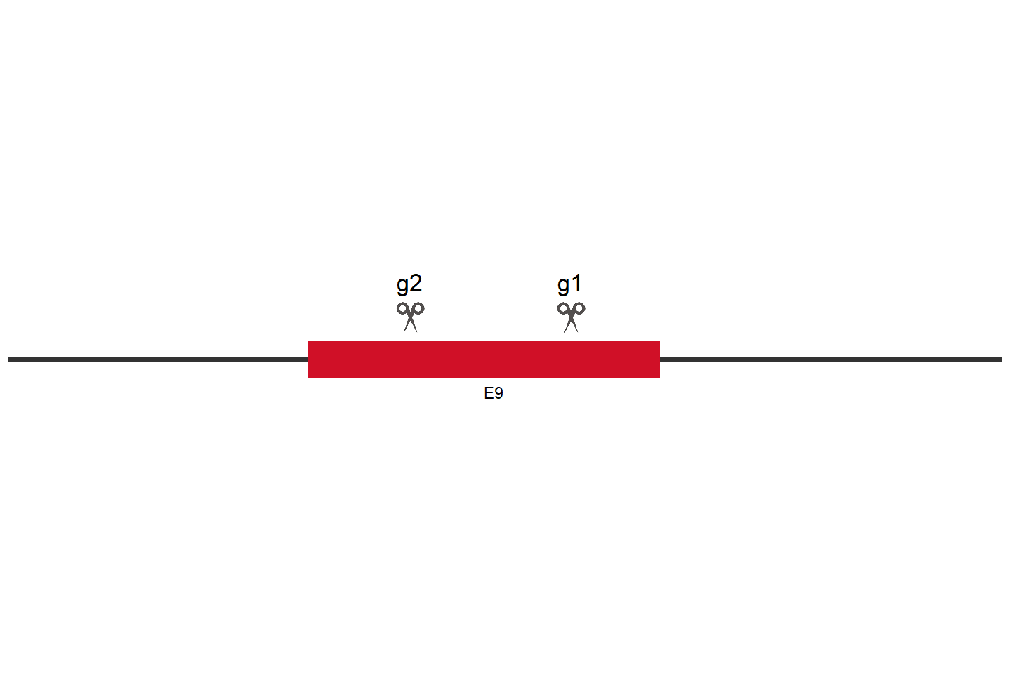 SCAPER Knockout cell line (A549) Target region