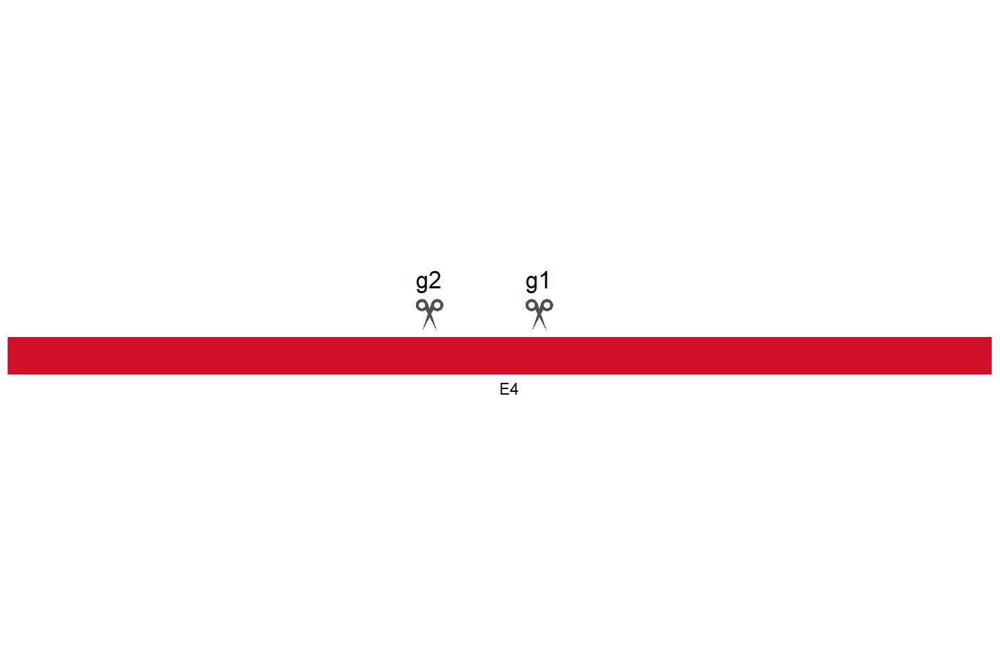 TLR1 Knockout cell line (A549) Target region