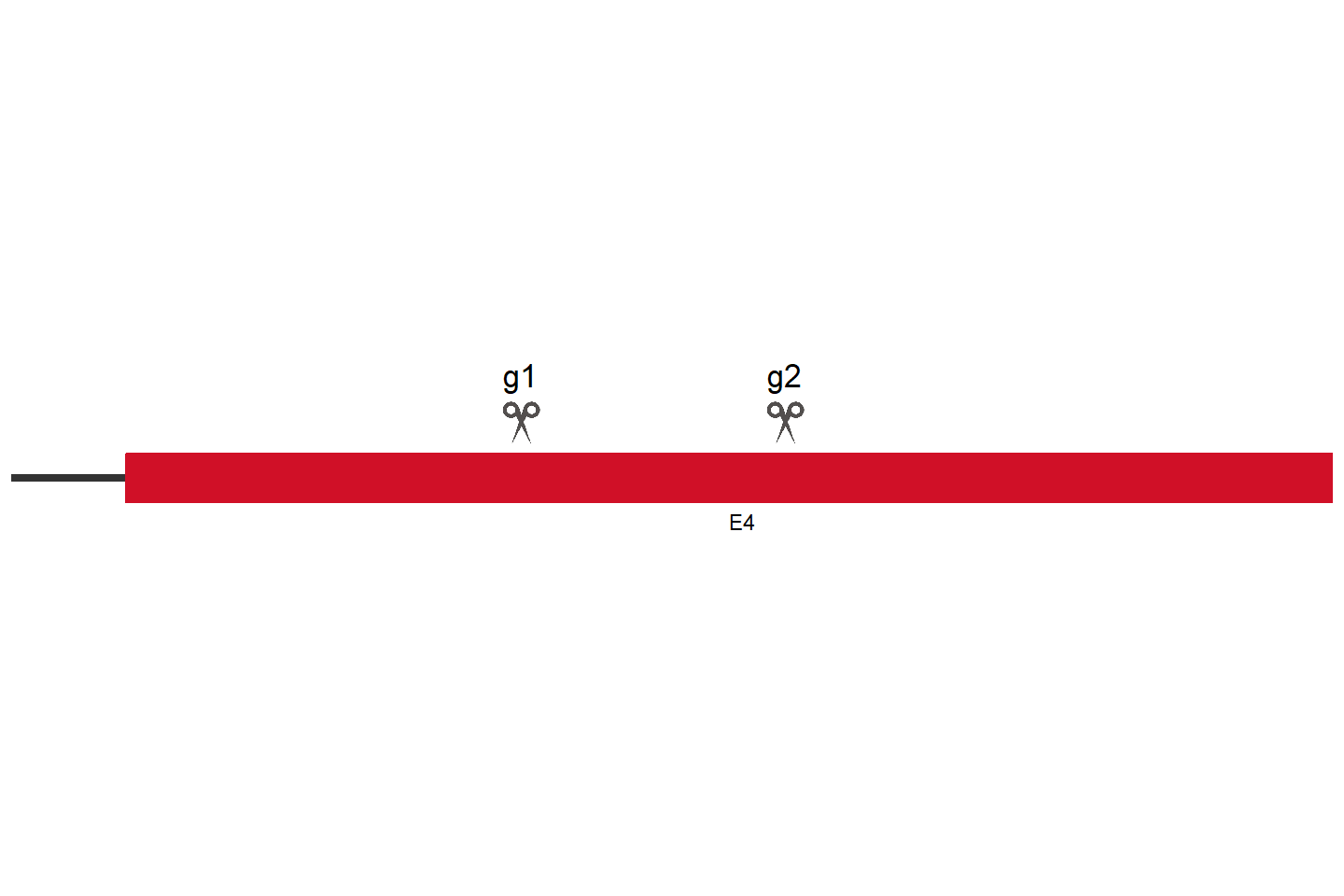 TLR3 Knockout cell line (HCT 116) Target region