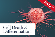 IF=13.7 | Potential Effect of Wnt/β-catenin pathway promoting tumor growth in Resisting cuproptosis