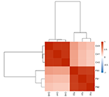 Sample Correlation Analysis - Sample Clustering Plot