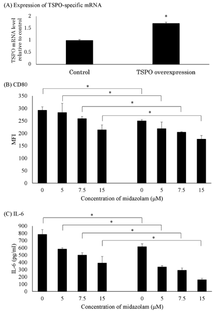 Effect of midazolam on LPS-induced pro-inflammatory response of THP-1 macrophages overexpressing TSPO 