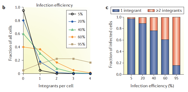 Different infection efficiencies correspond to the number of sgRNA copies integrated per cell <sup>[1]</sup>