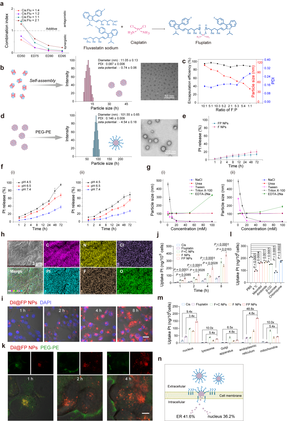 Design and characterization of FP NPs.