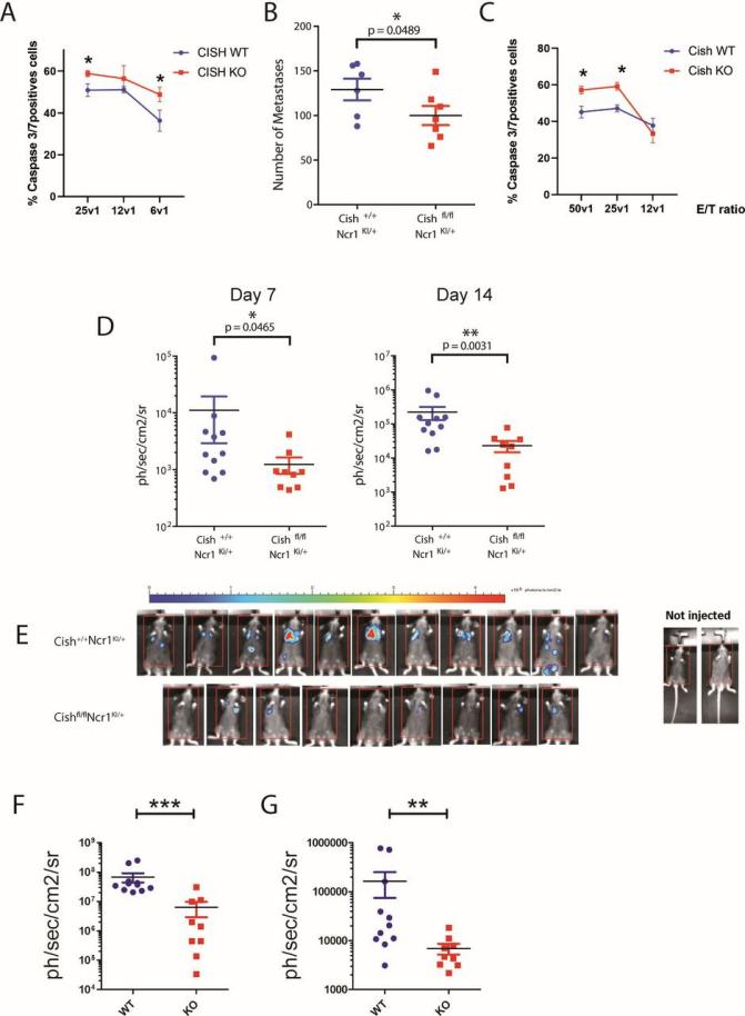  NK cells with CISH deficiency have an enhanced immune response against "metastasis"