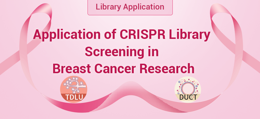 CRISPR Library Unlocking New Insights into Breast Cancer Targets