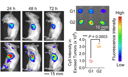 Imaging of BLI device and the mouse placed in camera box