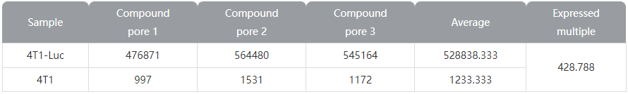 Luciferase expression results of Ubigene's 4T1-Luc cells