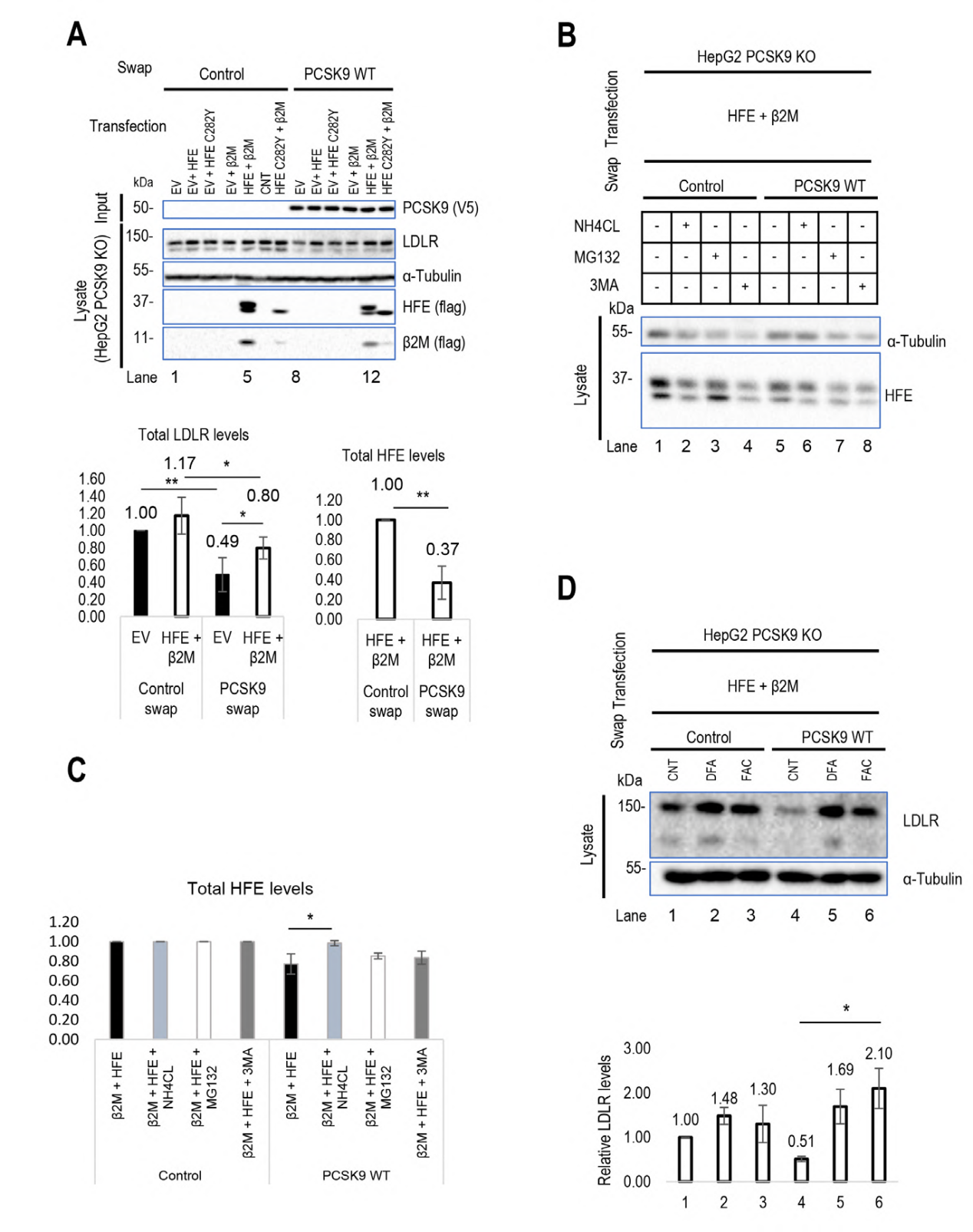 Regulatory effects of HLA-C and HFE on PCSK9