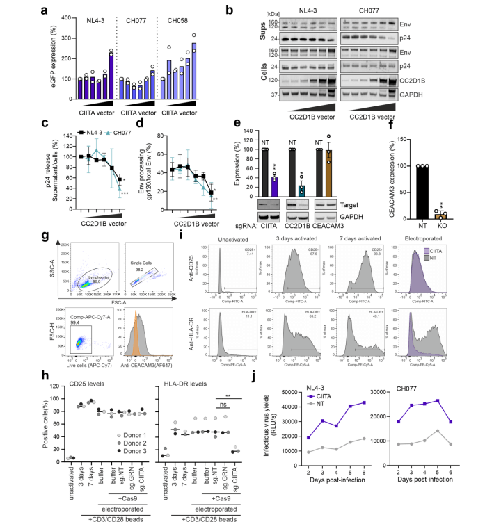 CIITA and CC2D1B genes inhibit viral transcription and release