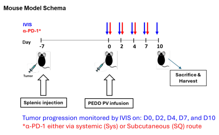 Experimental method