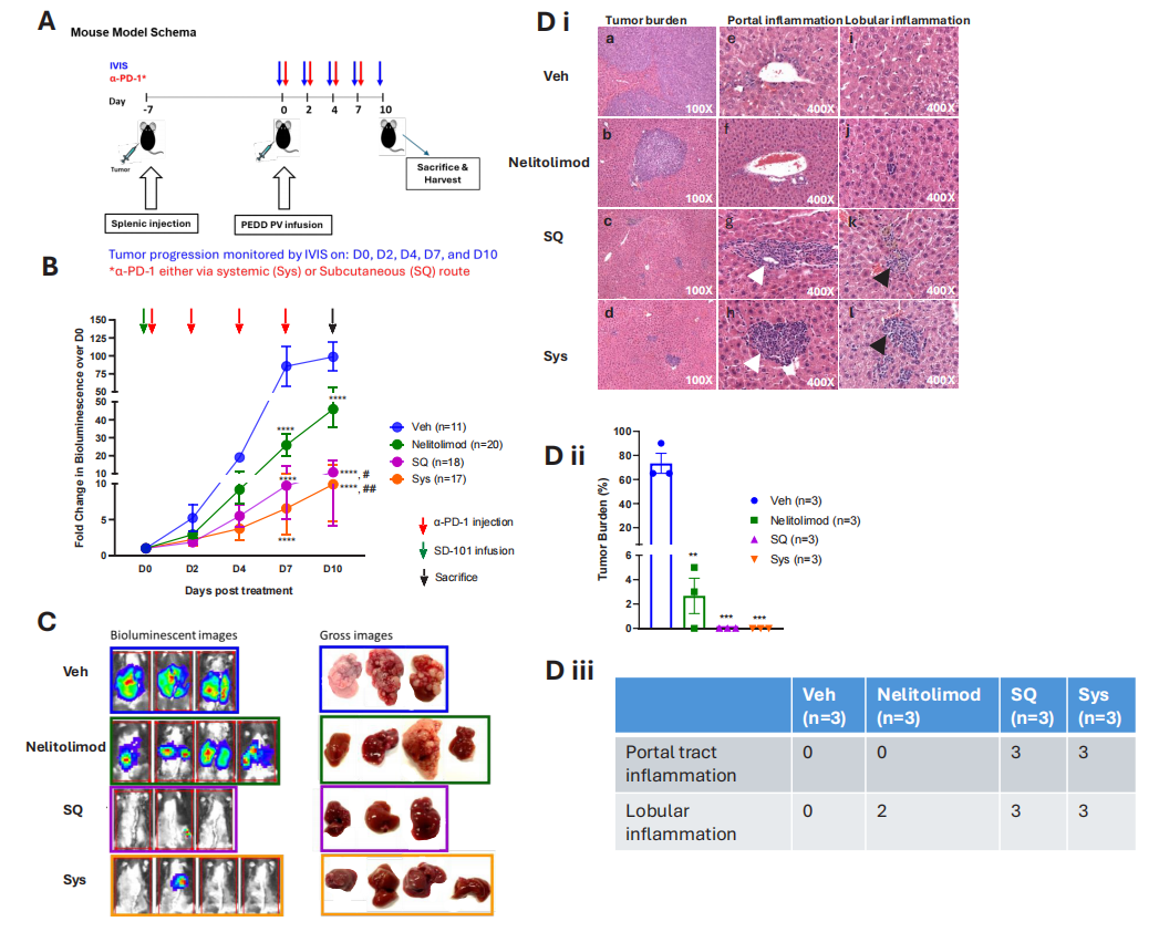 CPI enhances the antitumor activity of PEDD-delivered nelitolimod against liver metastases, regardless of the delivery method.