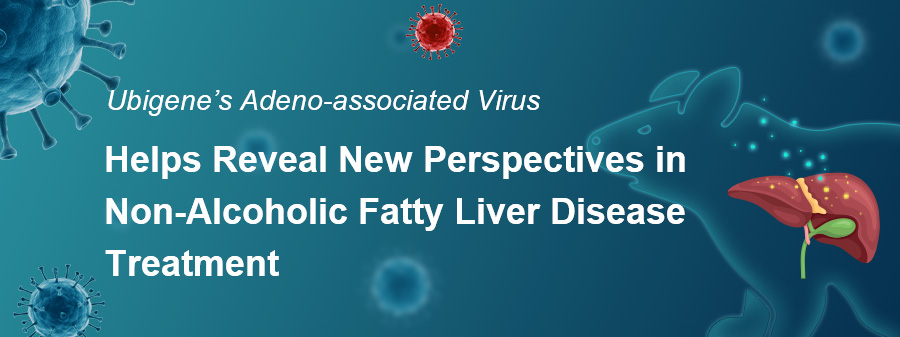 Ubigene’s AAV Helps Reveal New Perspectives in Non-Alcoholic Fatty Liver Disease Treatment