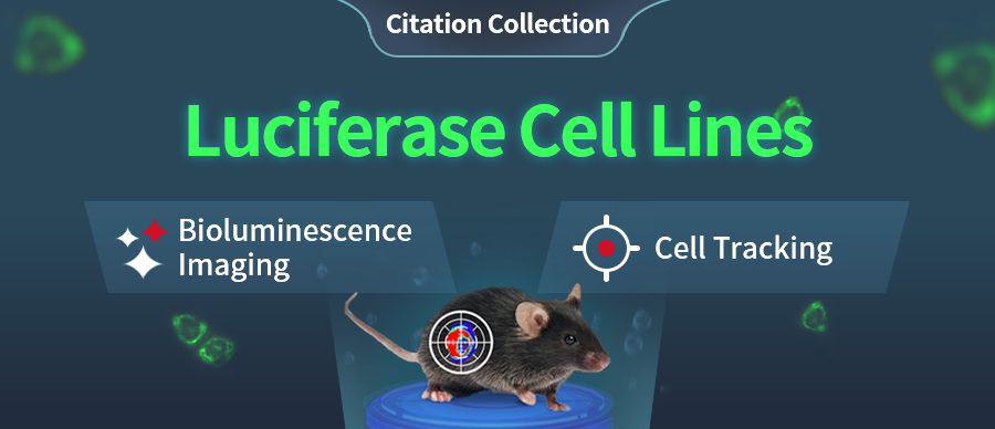 Ubigene Product Citation Collection Vol. 1 - Luciferase Cells