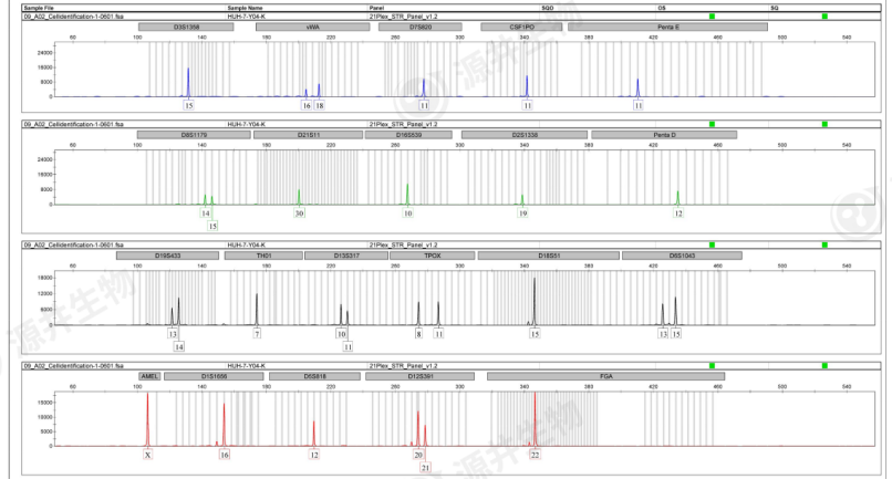 STR profiling of Ubigene’s HuH-7 cells