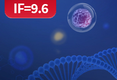 Ubigene KO Cells help Revealing the Key Role of O-GlcNAc Glycosylation in Regulating ACLY