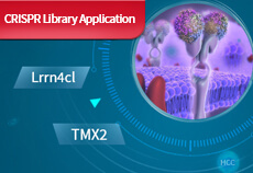 Hot!!! CRISPR Library for Membrane Proteins: Screen for Potential Targets!