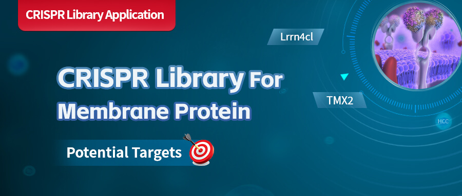 CRISPR Library for Membrane Proteins: Screen for Potential Targets