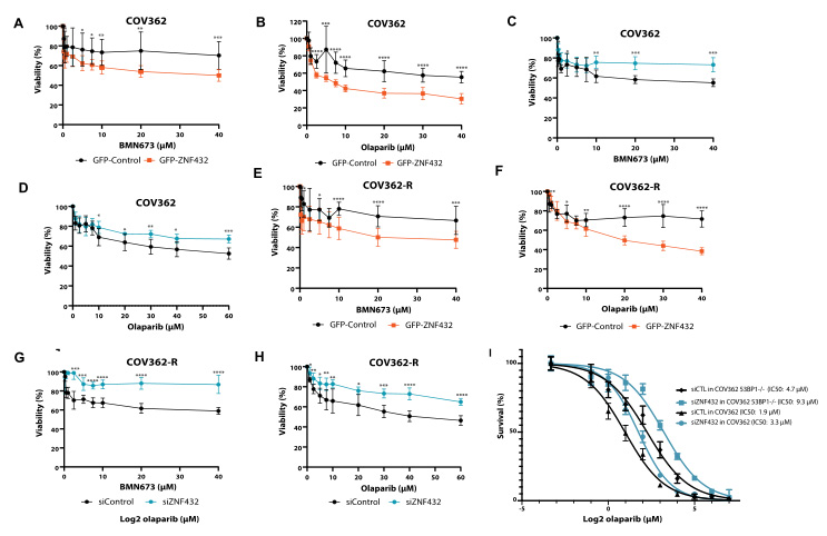 Regulation of ZNF432 expression affects drug resistance of ovarian cancer cells