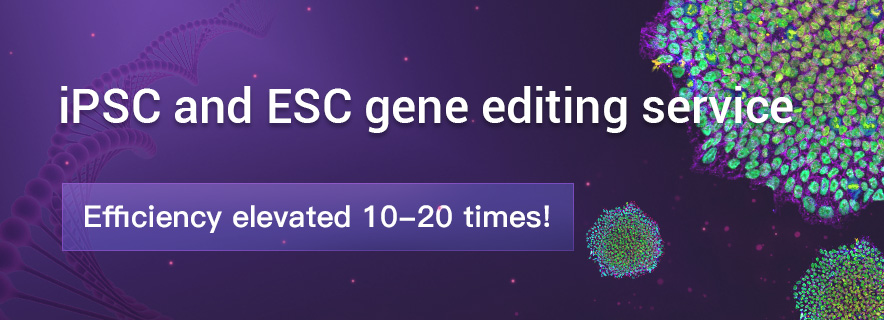 iPSC and ESC Gene editing