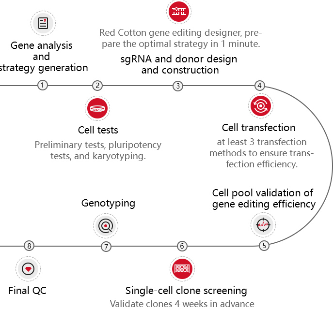 gene editing technical process
